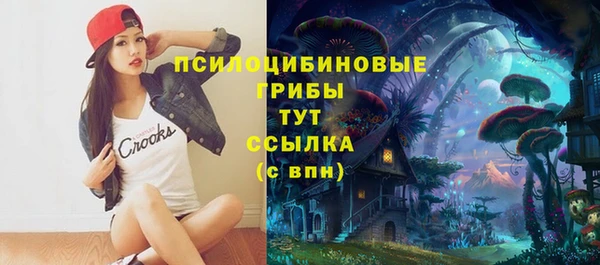 соль курить ск Алексеевка