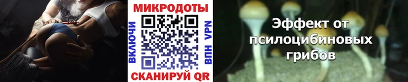 Галлюциногенные грибы MAGIC MUSHROOMS  где продают   Аргун 