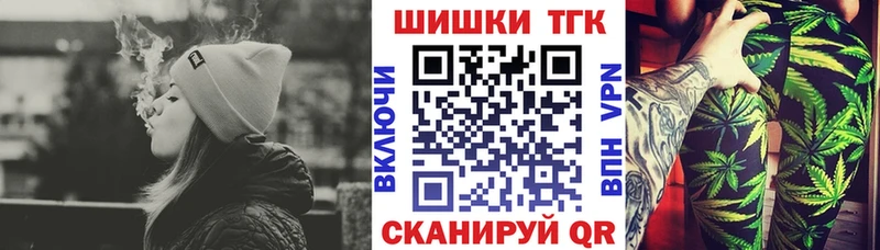 Канабис сатива Аргун